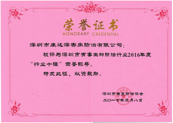 2016年度行业十强荣誉证书